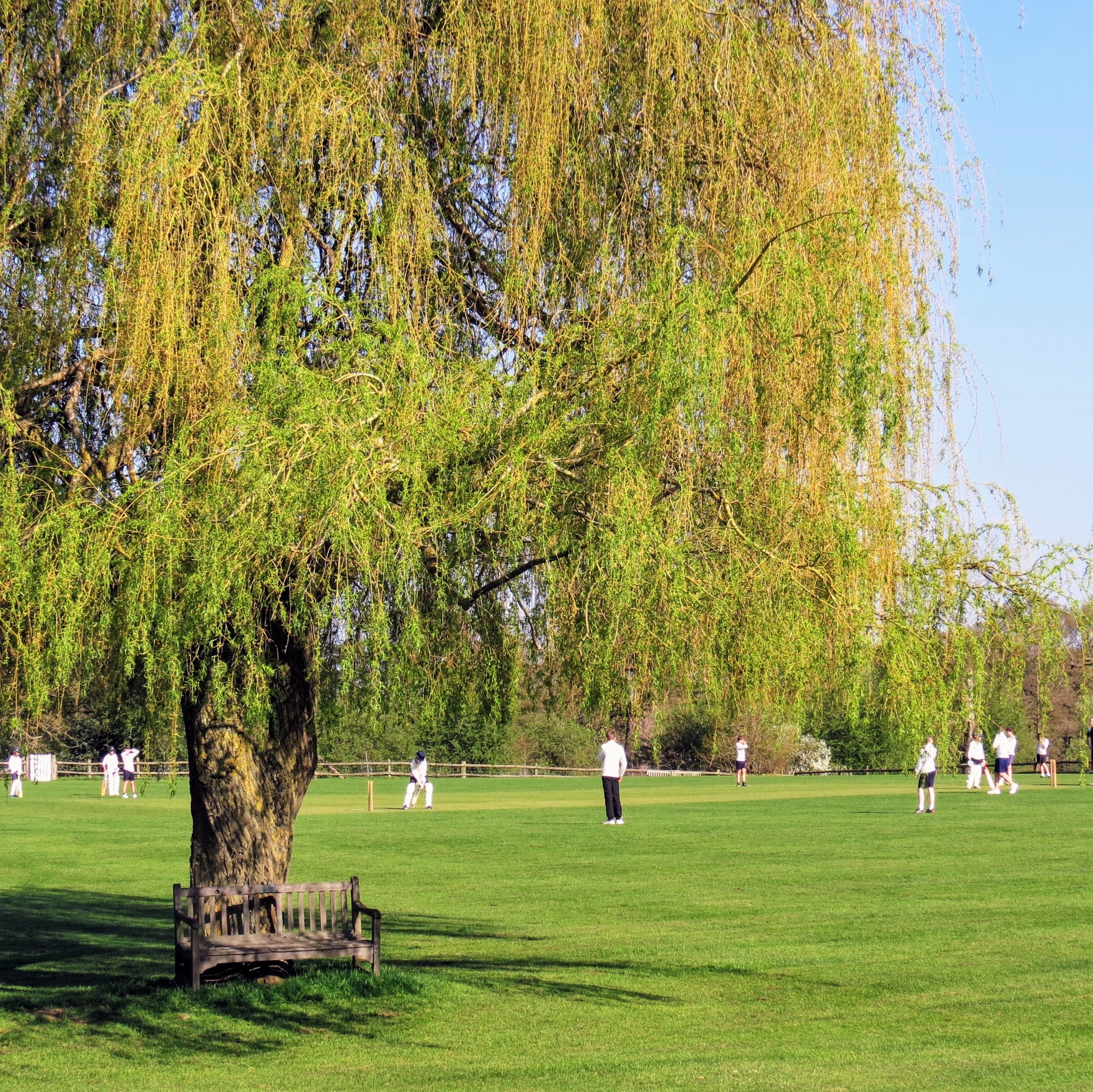 Sports Field